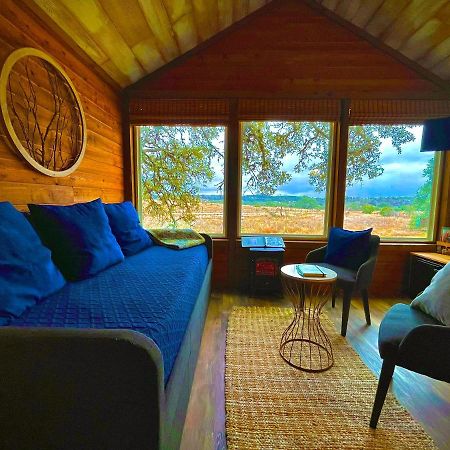 فندق The Alexander At Creek Road نازف سبرينغز المظهر الخارجي الصورة