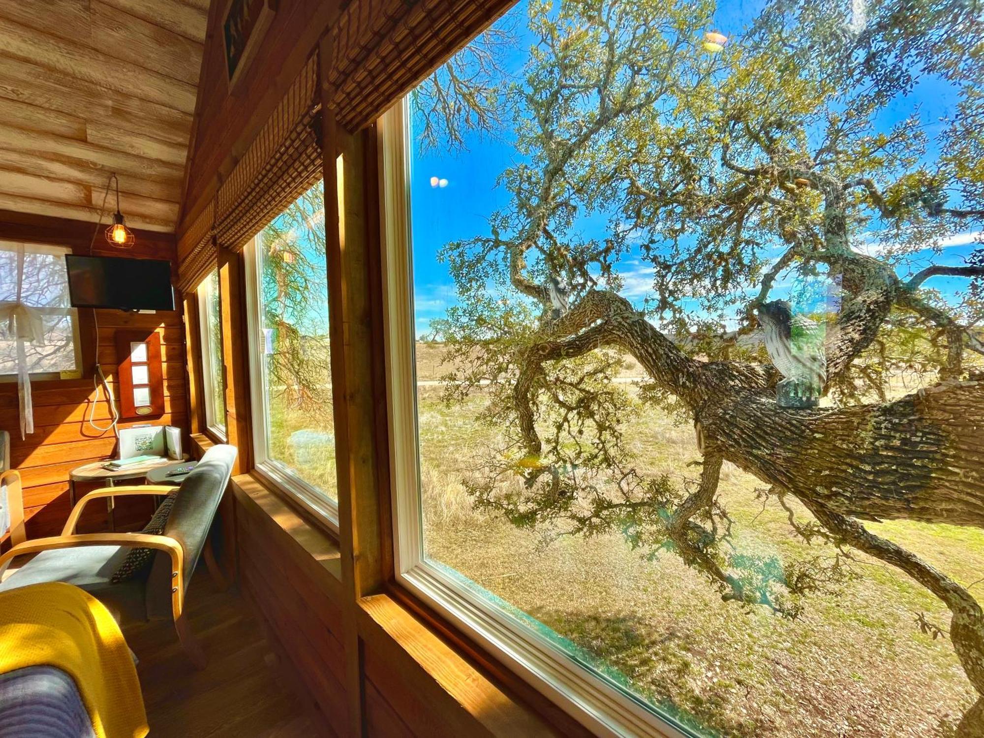 فندق The Alexander At Creek Road نازف سبرينغز المظهر الخارجي الصورة